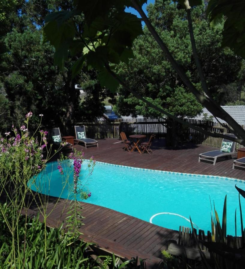 Badger'S Cottage Knysna Extérieur photo