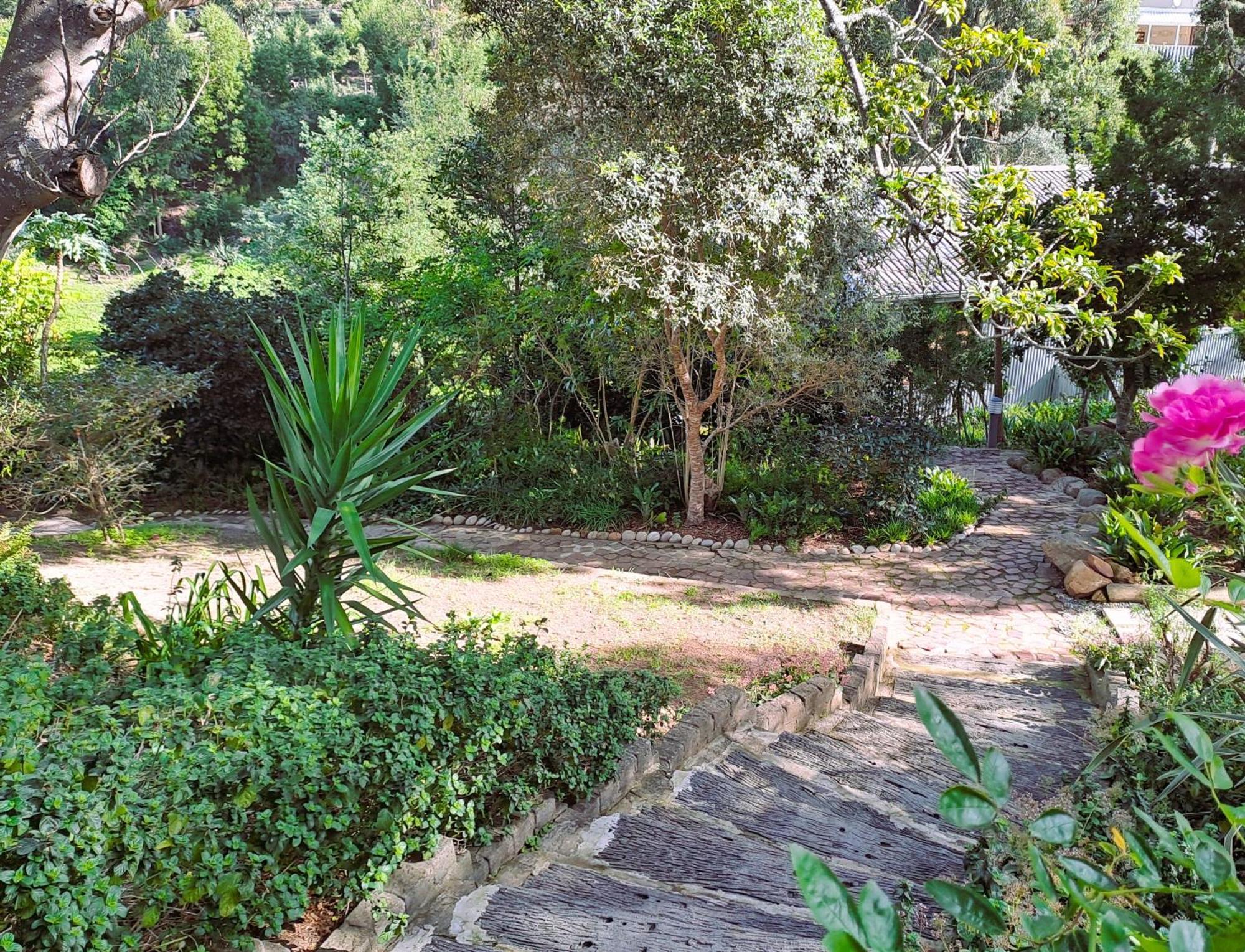 Badger'S Cottage Knysna Extérieur photo